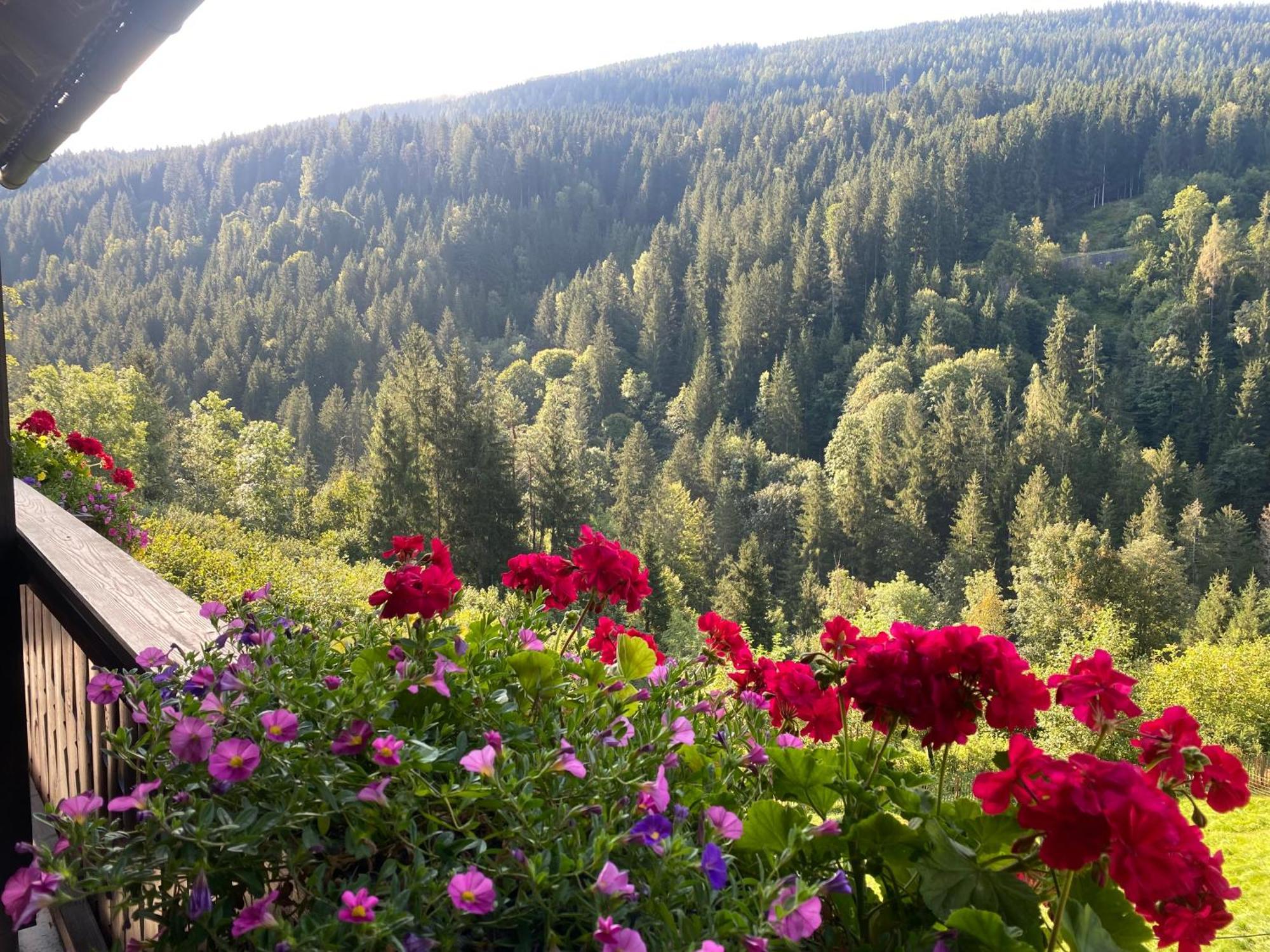 Pension Gasthof Arriach Bagian luar foto